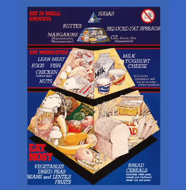 Dr. Paul Mason - 'The corrupt history of the food pyramid'