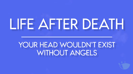 Your Head Wouldn't Exist Without Angels | Life After Death